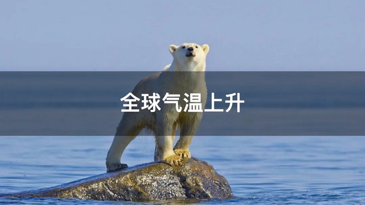 螞蟻商聯(lián)攜手金好來超市發(fā)起“以竹代木，翠我山河”植樹節(jié)活動(dòng)，從改變生活習(xí)慣開始！喊你為公益接力~